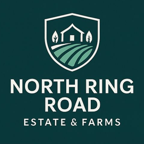 untitled design 2025 12 10t145036.573